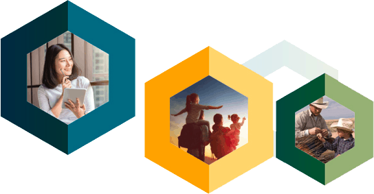 GSA-Website_2019_Tax_Shapes